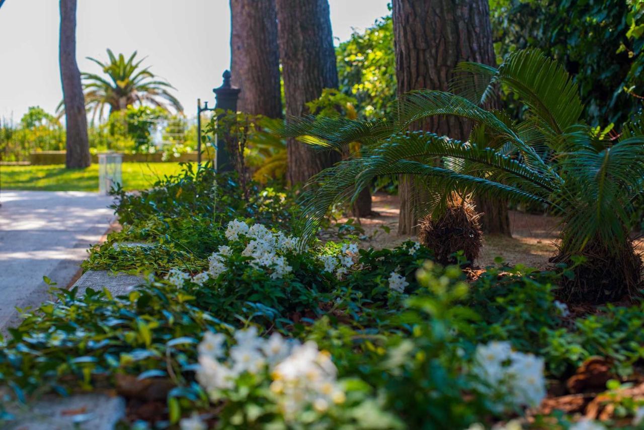 Tra Gli Alberi E Il Mare Bed & Breakfast Sirolo Luaran gambar